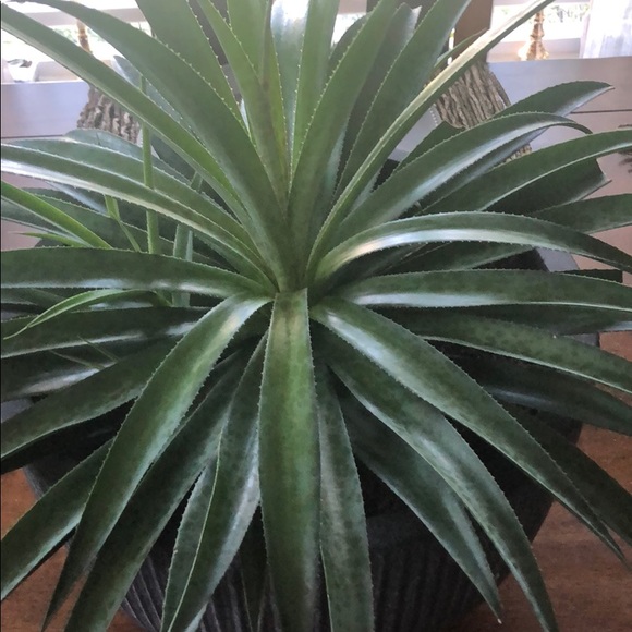 Meet your Posher, Stefanie - Picture 1 of 1